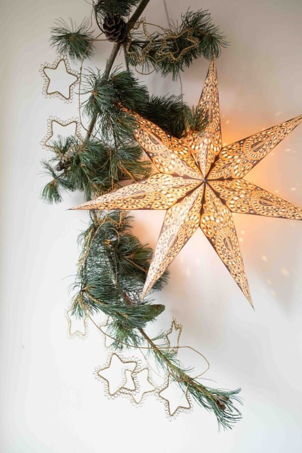 Ster Starlightz: Kashmir Brown