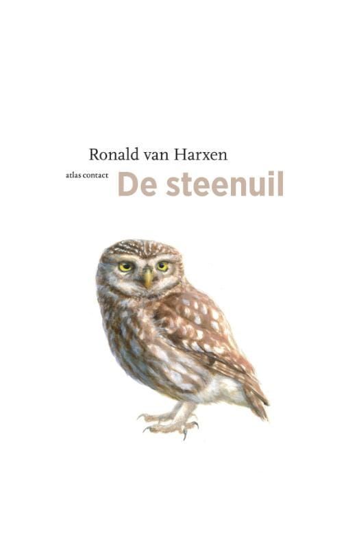 Ronald van Harxen; De steenuil