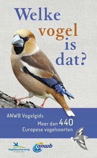 Volker Dierschke; Welke vogel is dat? ANWB Vogelgids