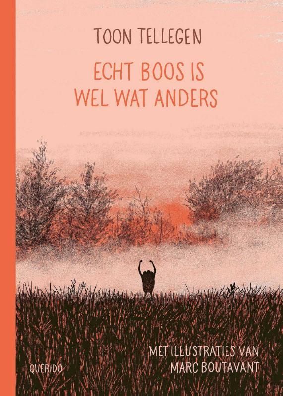 Toon Tellegen; Echt boos is wel wat anders