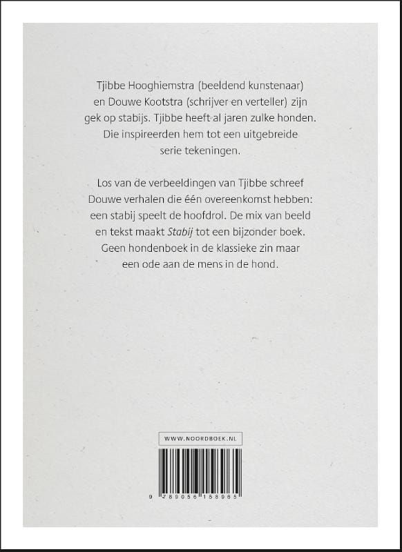 Tjibbe Hooghiemstra; Stabij