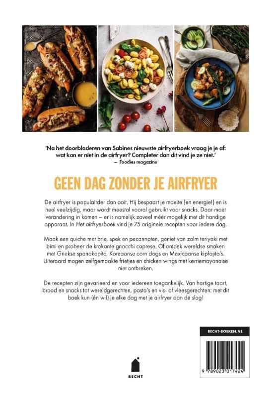 Sabine Koning; Het airfryerboek