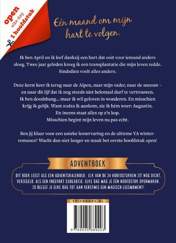 Sophie Jomain; Adventboek - A heart for Christmas