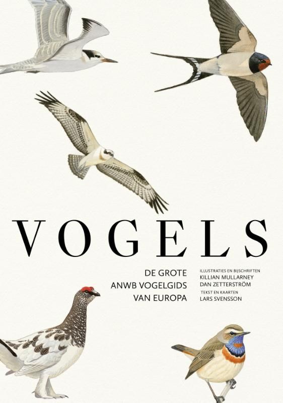 Lars Svensson; Vogels