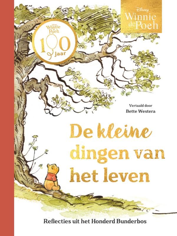 Disney; Winnie de Poeh. De kleine dingen van het leven