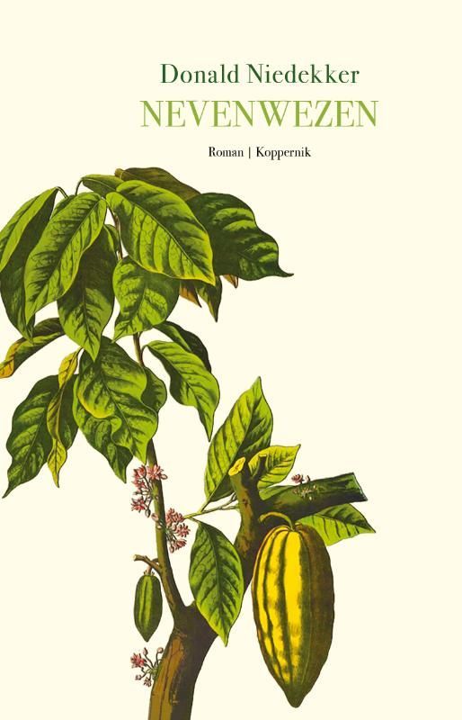 Donald Niedekker; Nevenwezen