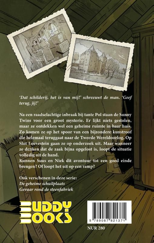 Annette van der Plas; Het geroofde schilderij