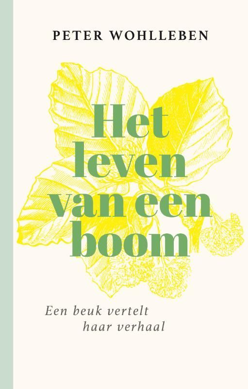 Peter Wohlleben; Het leven van een boom
