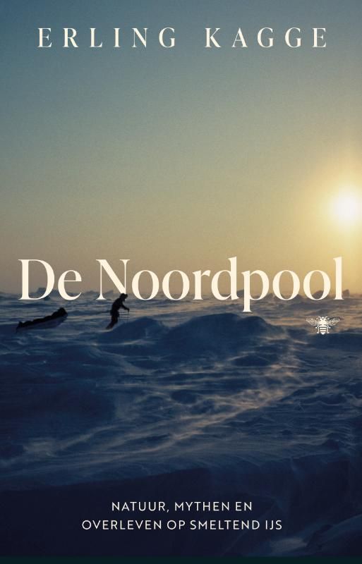 Erling Kagge; De Noordpool