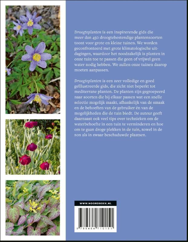 Aurélien Davroux; Droogteplanten