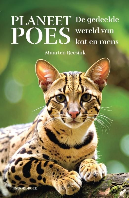 Maarten Reesink; Planeet Poes