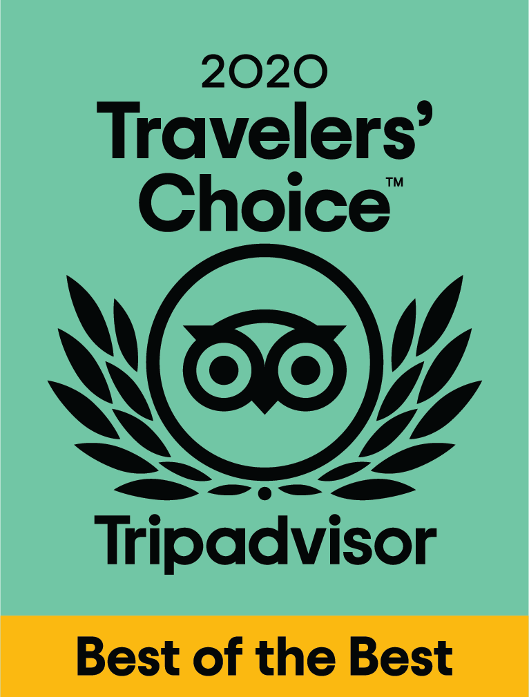 tripadvisor travellers choice