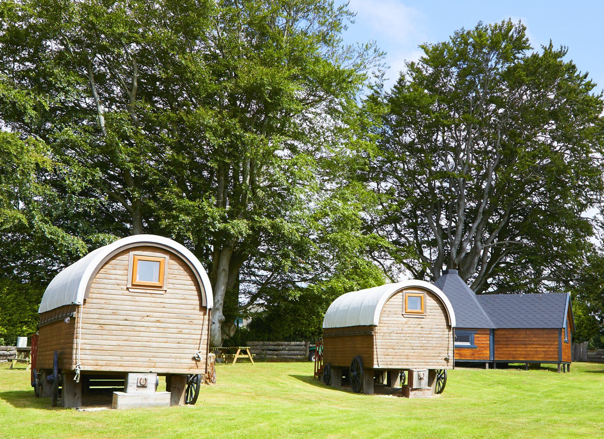 woodys western wagons