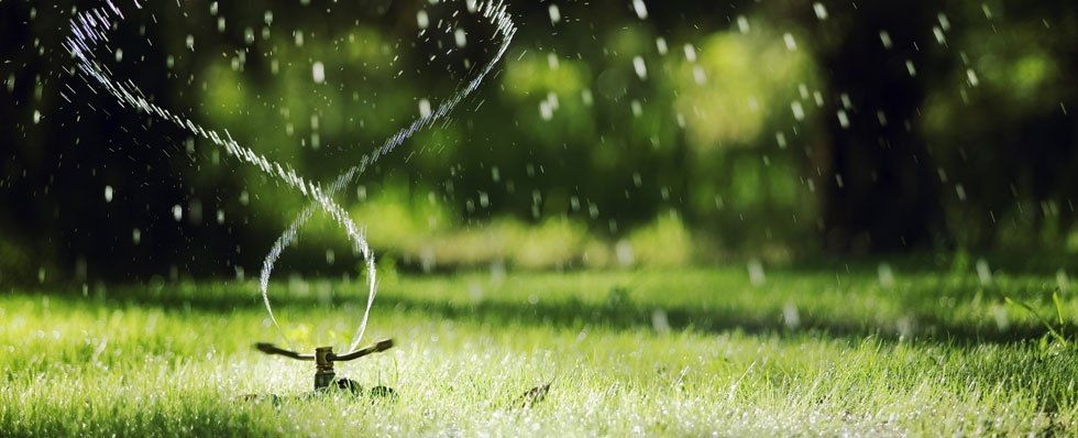 impianto di irrigazione a goccia