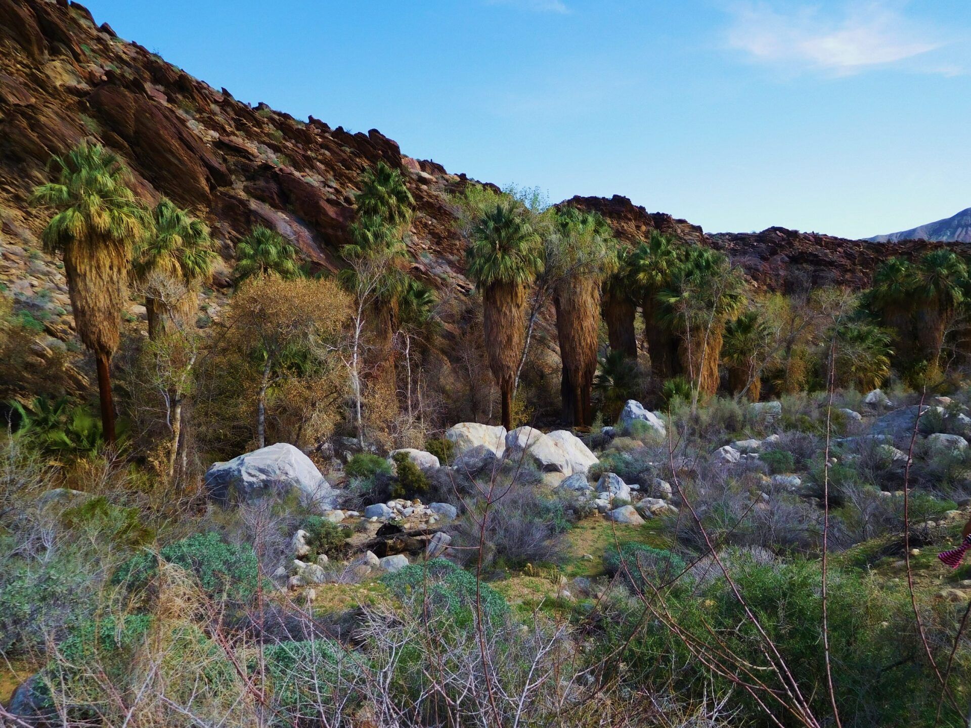 Indian Canyon Tourist Spot