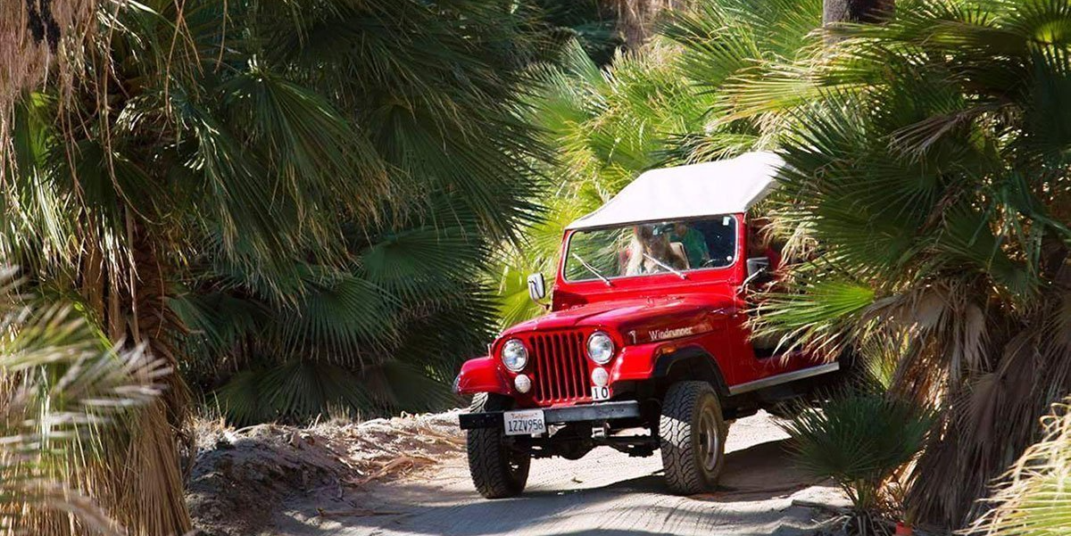 Group Tours & Activities Red Jeep Tours Palm Springs