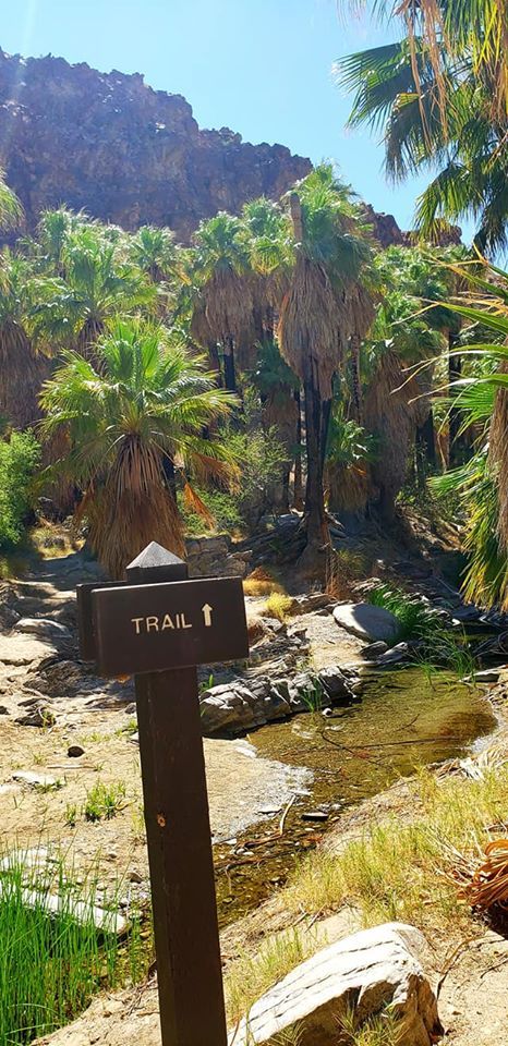 Trail Sign in Indian Canyon