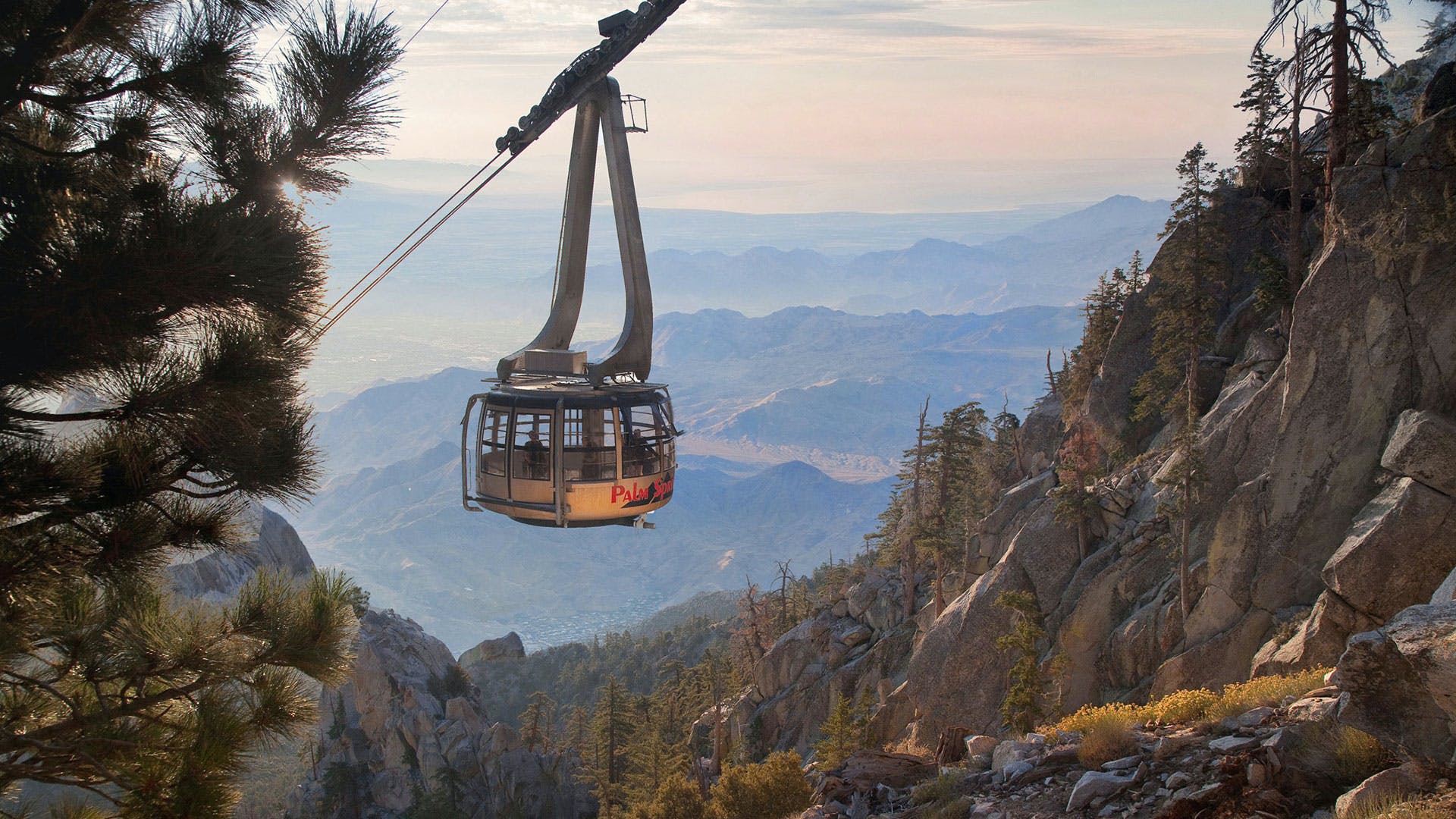 An aerial tram suspended in Palm Springs