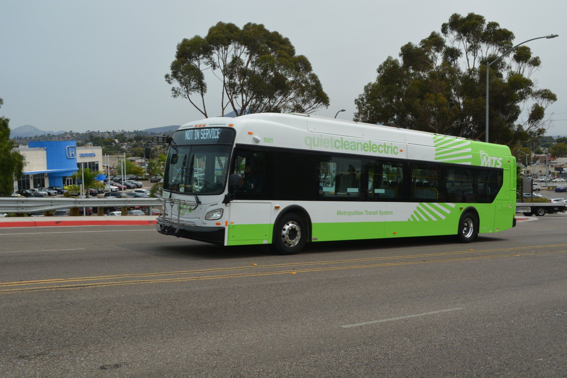 Green transit bus