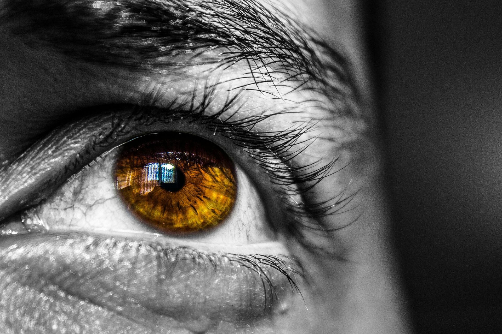 Close-up of a person’s eye with a golden iris, reflecting focus and vision—symbolizing insight and awareness before taking action.