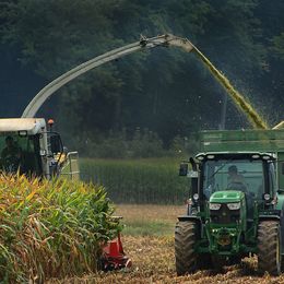 A green tractor is sifting corn in a field