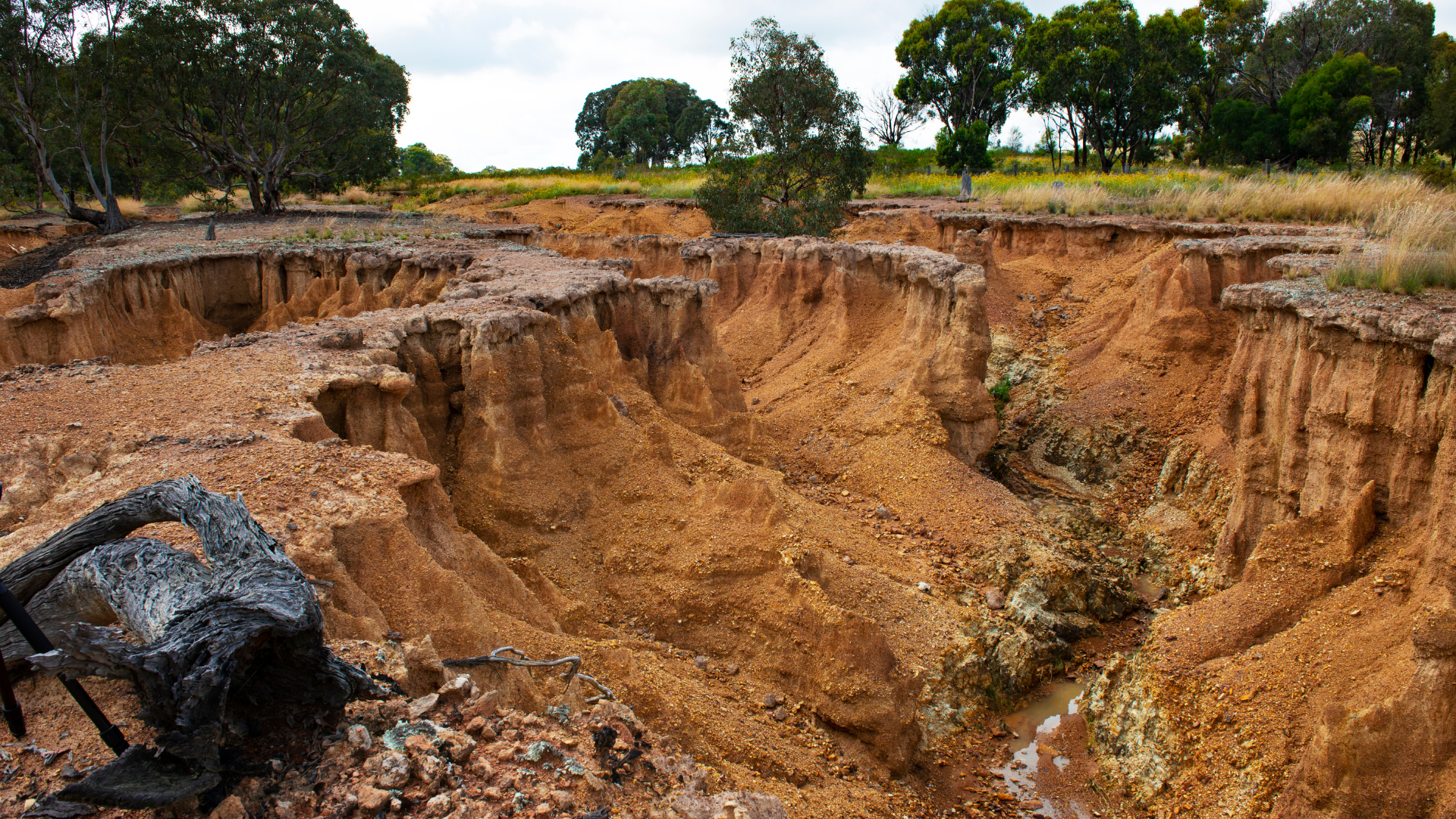 Eroded earth with deep gullies and a burned object on the left, trees in the background.