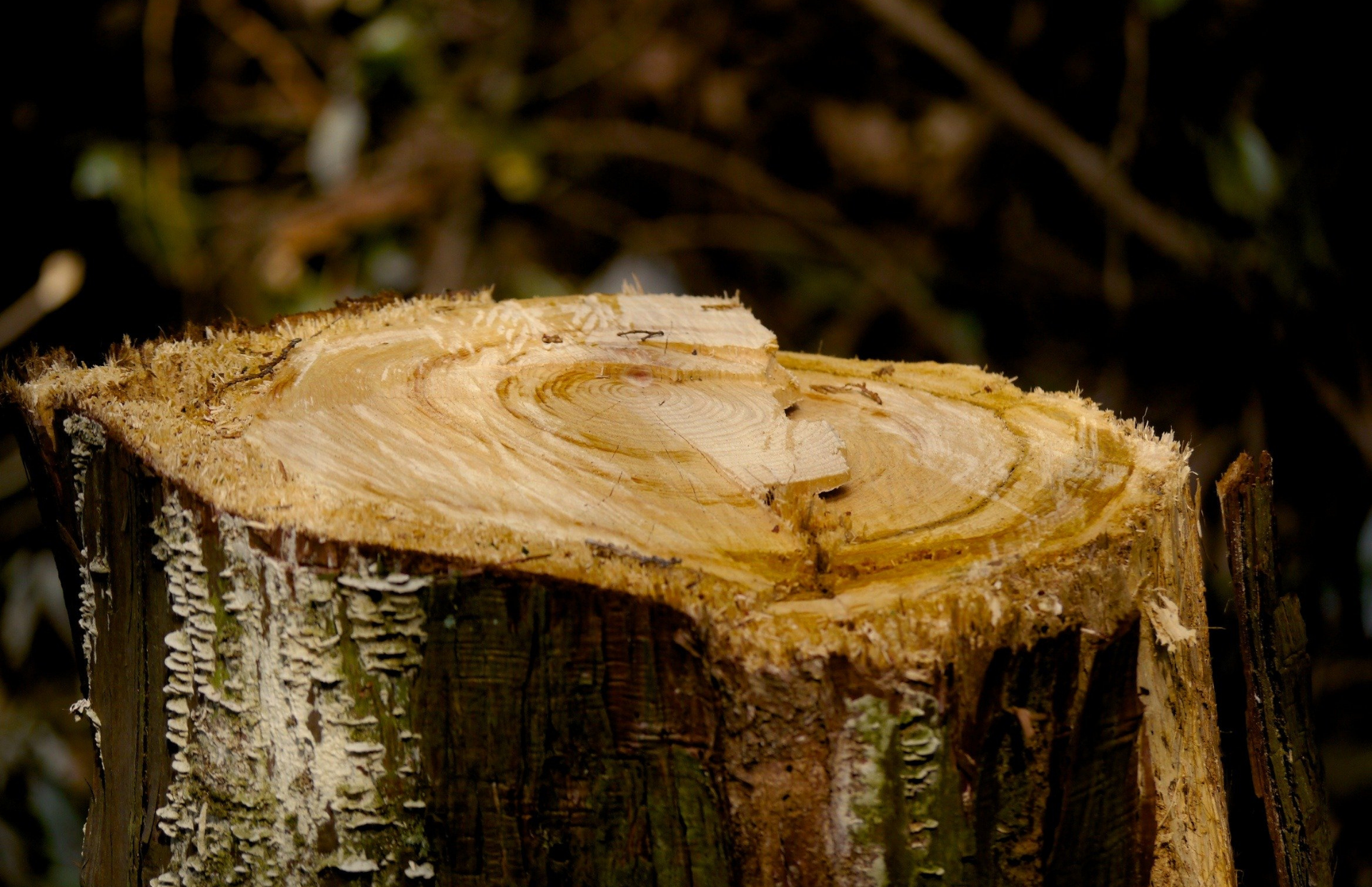 Aerial view: heavy machinery at a quarry, sorting gravel and rock.