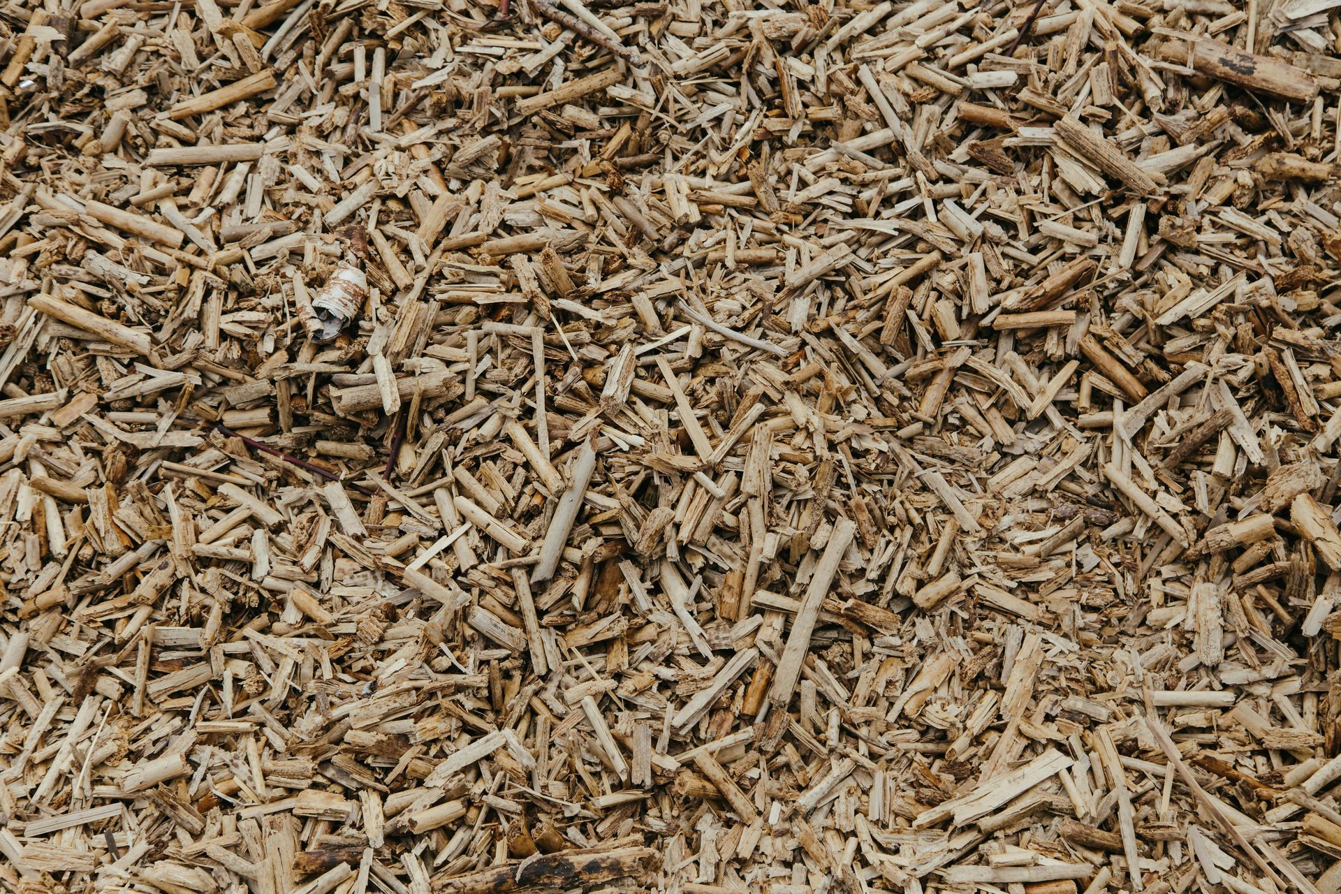 Wood chips scattered on the ground, varying shades of brown.