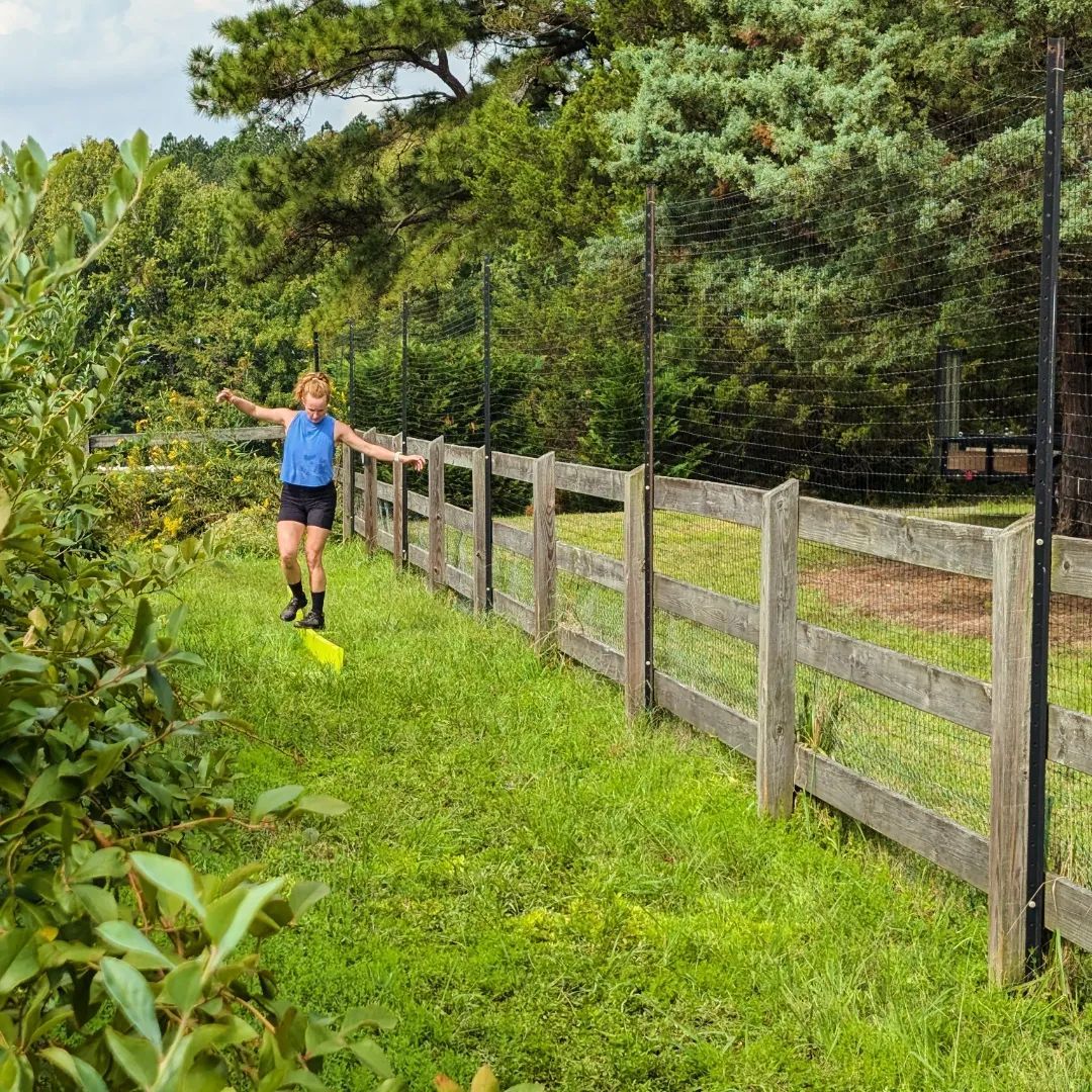 Person balancing on a fence, arms outstretched, near a green field and trees.