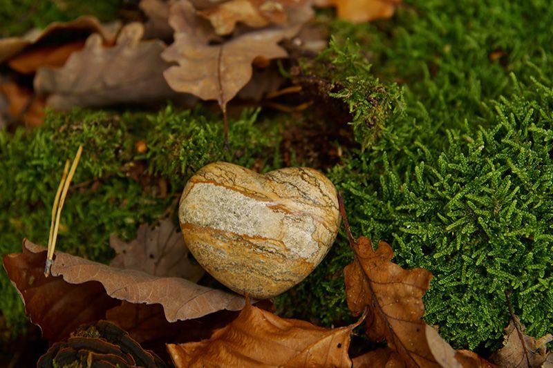 A heart shaped rock is sitting on top of a pile of moss and leaves.