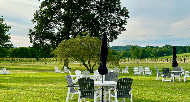 Tables with chairs under umbrellas at Tranquillity Vineyard with a green lawn and trees, blue sky.