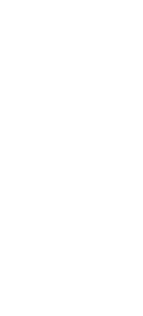 CT Wine Trail logo