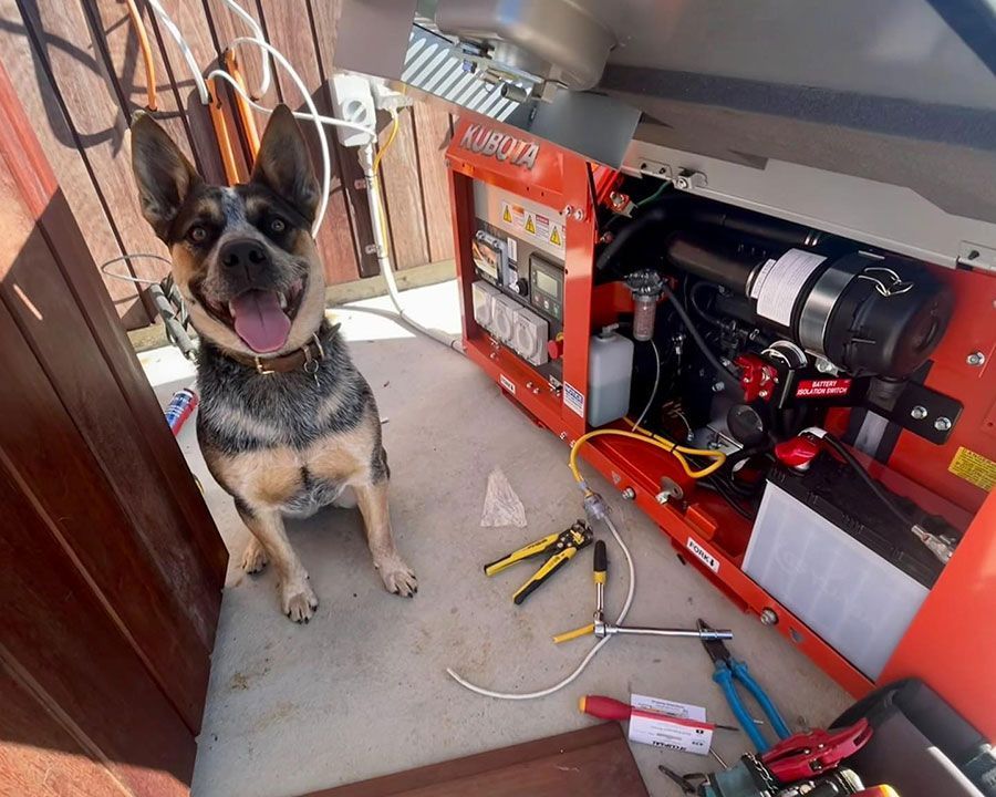 A Dog Sitting In Front Of A Kubota Machine — Efficient Solar Panels in Armidale