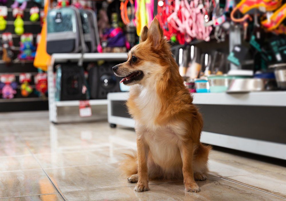 Animal Pet Store — Louisville, KY — Dixie Animal Hospital
