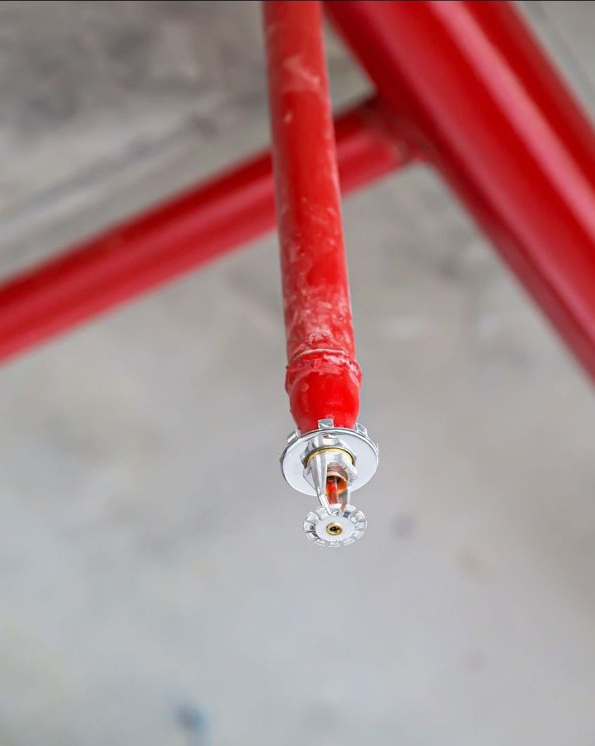 Pipe and Sprinkler
