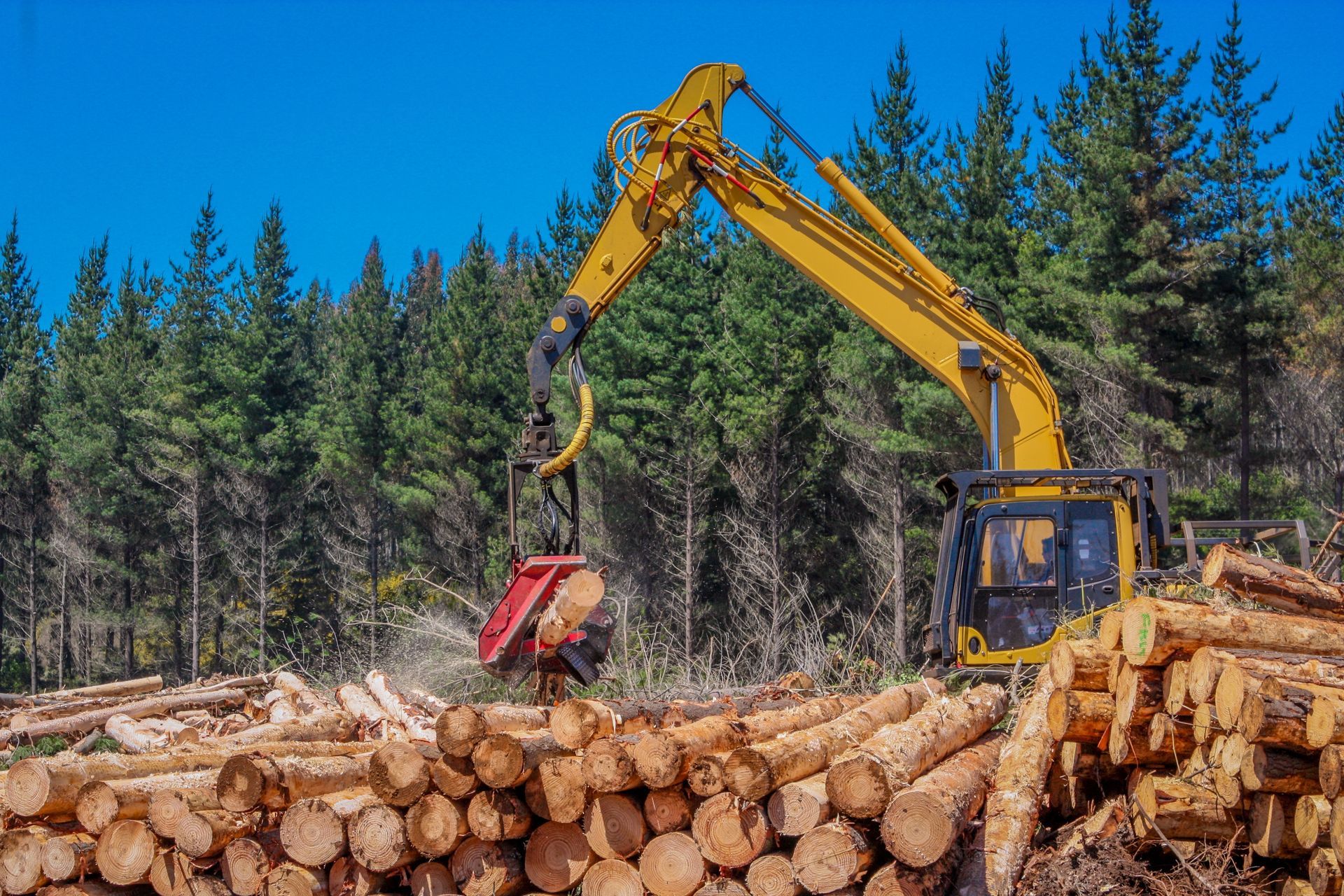Excavator handling logs in a forest harvesting site.