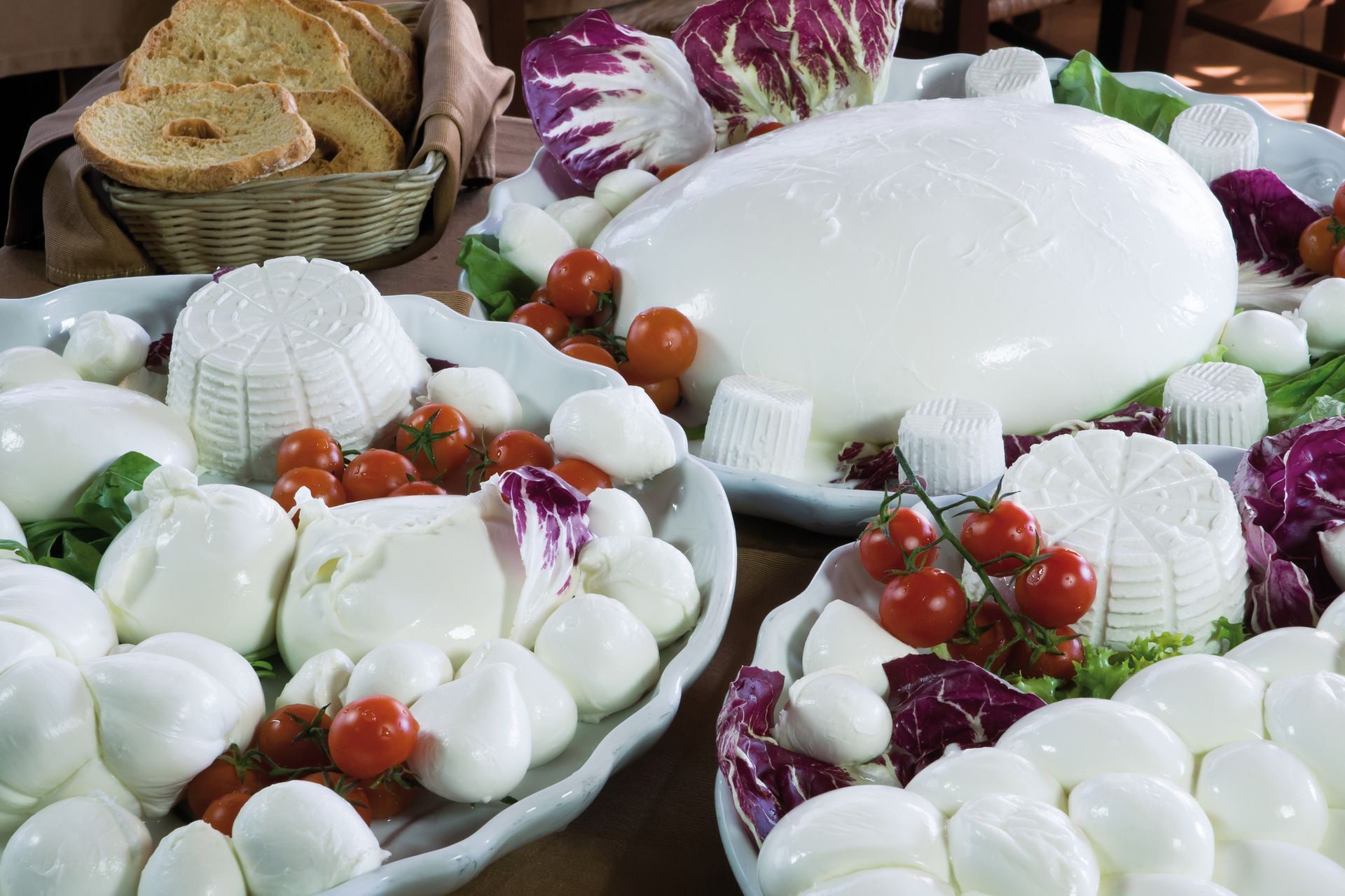 Assortimento di formaggi italiani, pomodori e radicchio su vassoi, con pane tostato in un cestino.