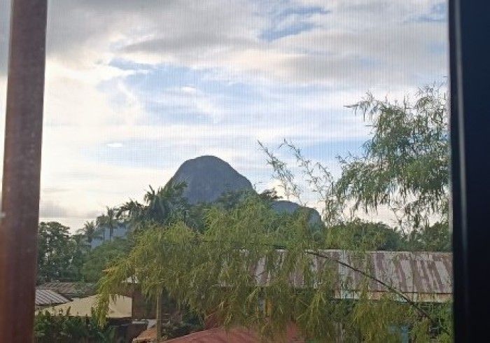 A view of a mountain through a window with trees in the foreground.