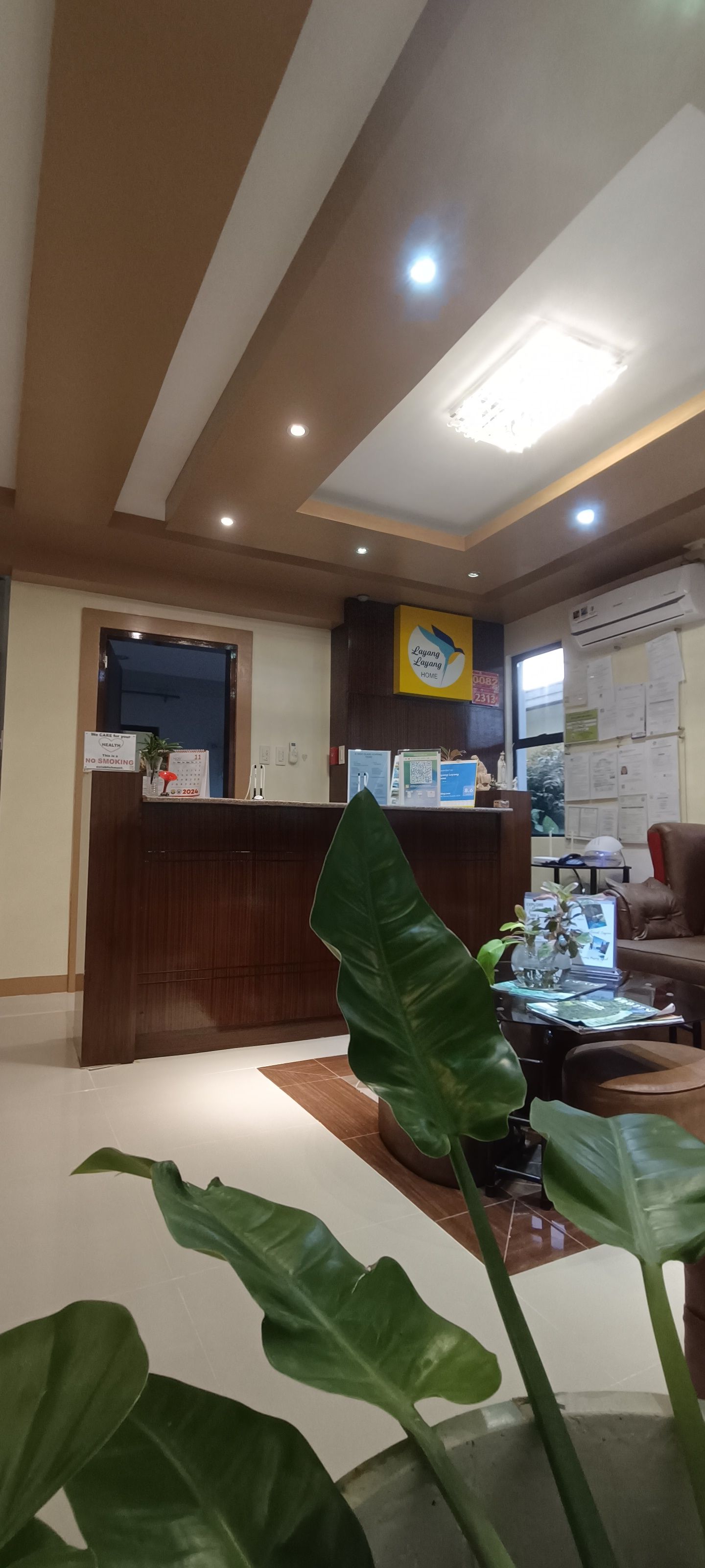 A room with a plant in the foreground and a desk in the background.