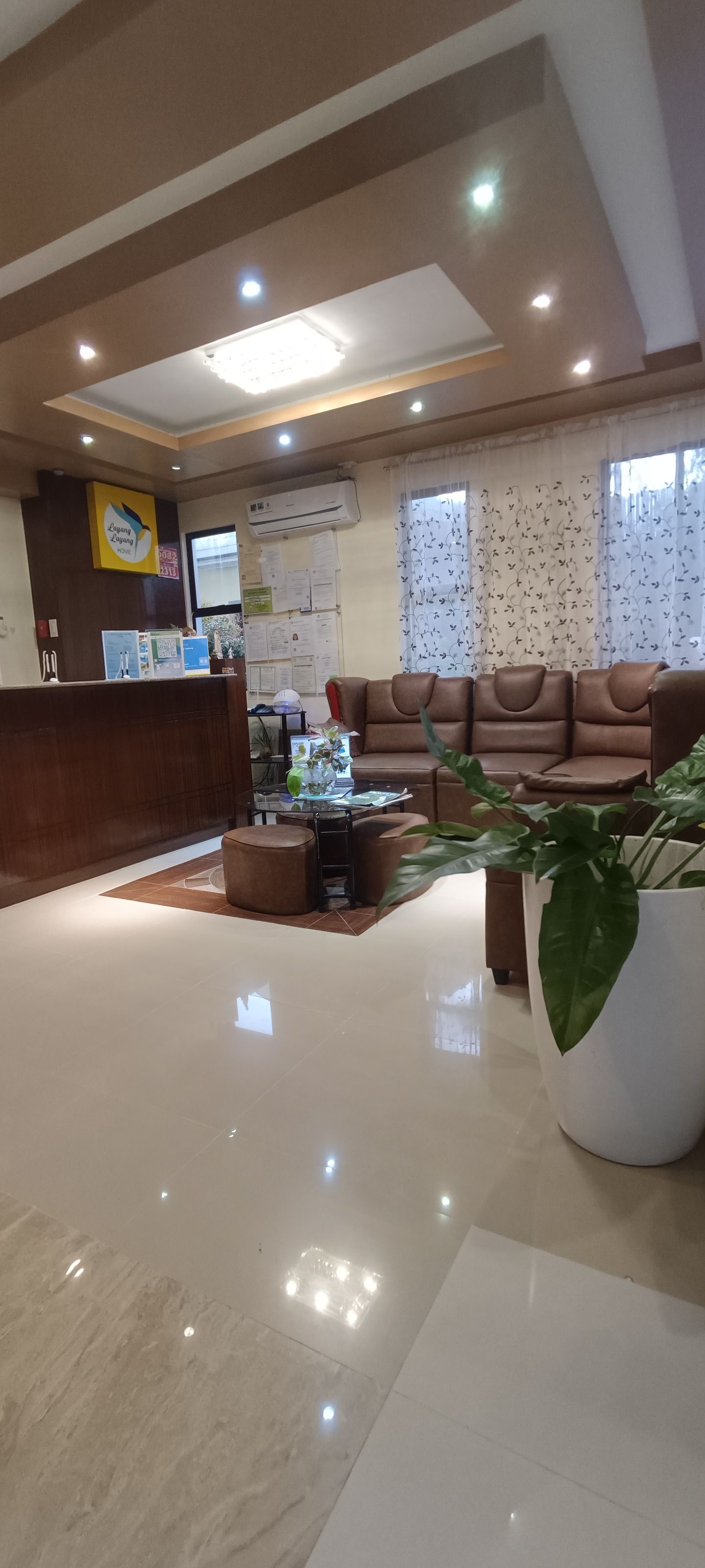 A living room with a couch , table , and potted plant.