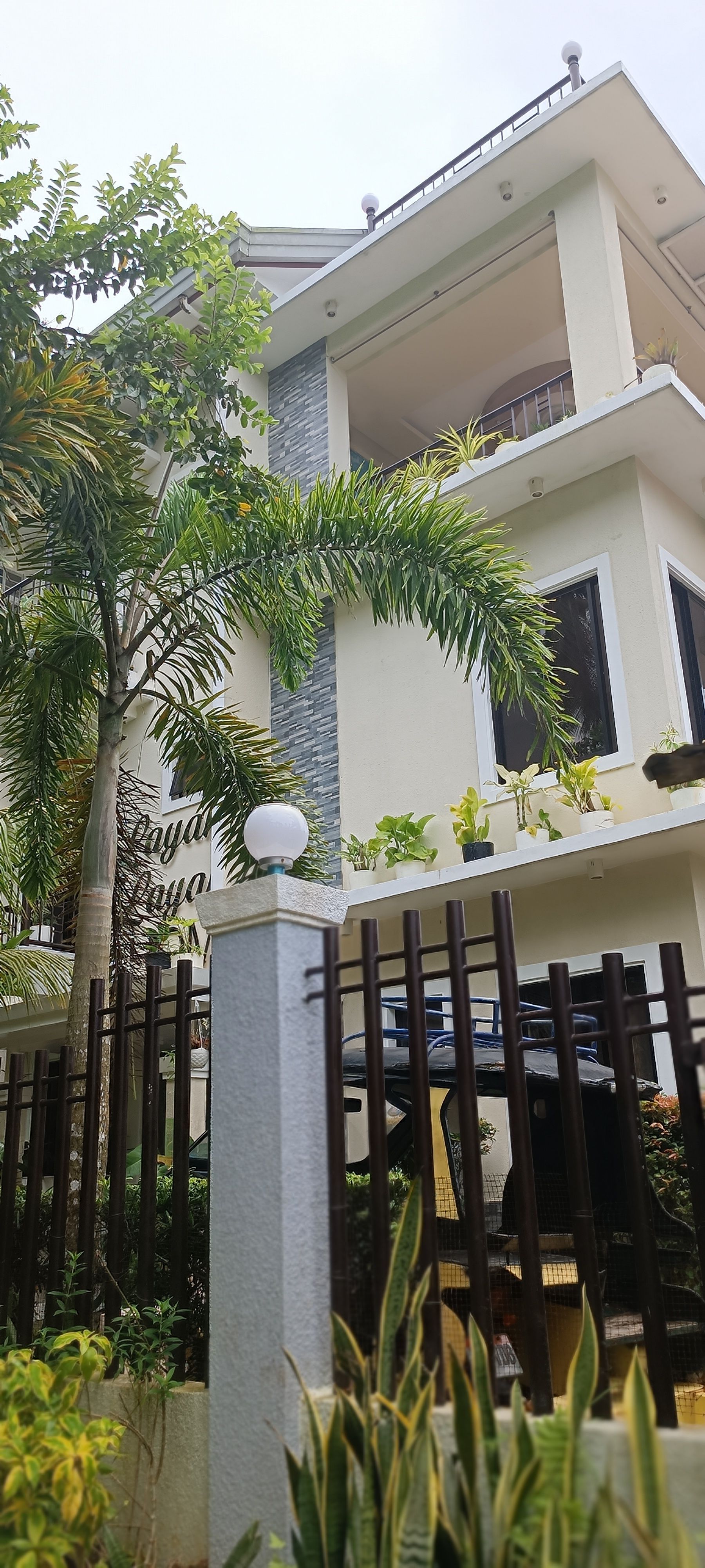 A large white house with a fence and a tree in front of it.