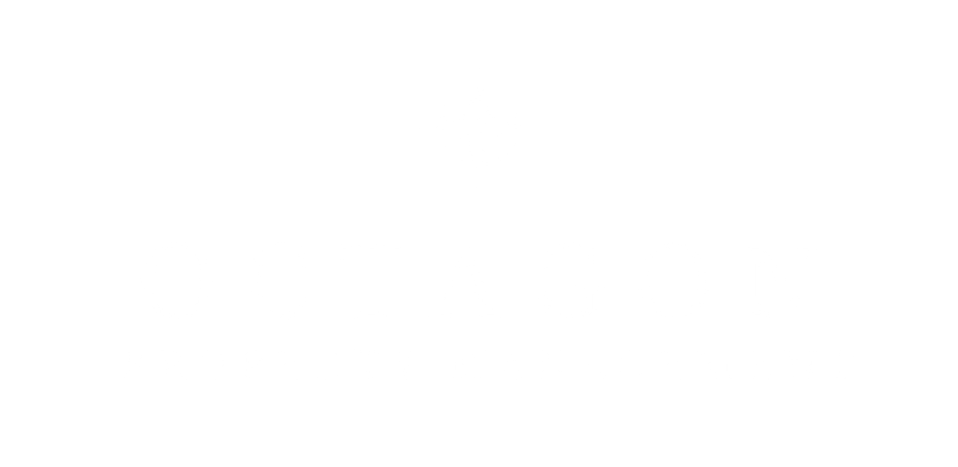 Octagon Property Management Logo - footer, go to homepage