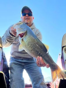 Person holding a large fish outdoors under a clear blue sky