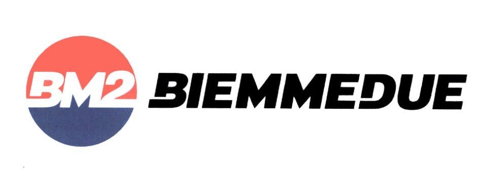 Logo Biemmedue