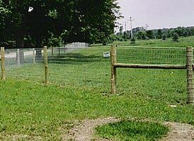 Farm Fence — Small Fencing for Farms in Dansville, MI