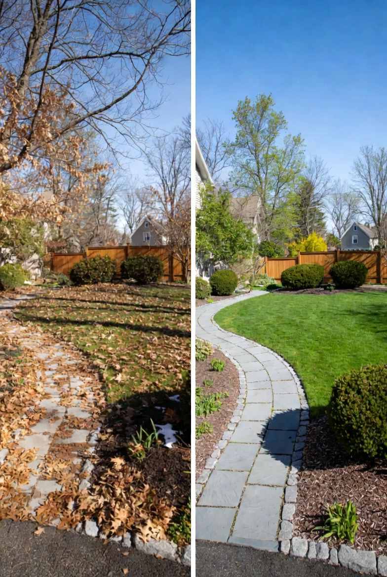Side-by-side comparison of a yard in spring (green grass, trees) and fall (brown leaves, bare trees).