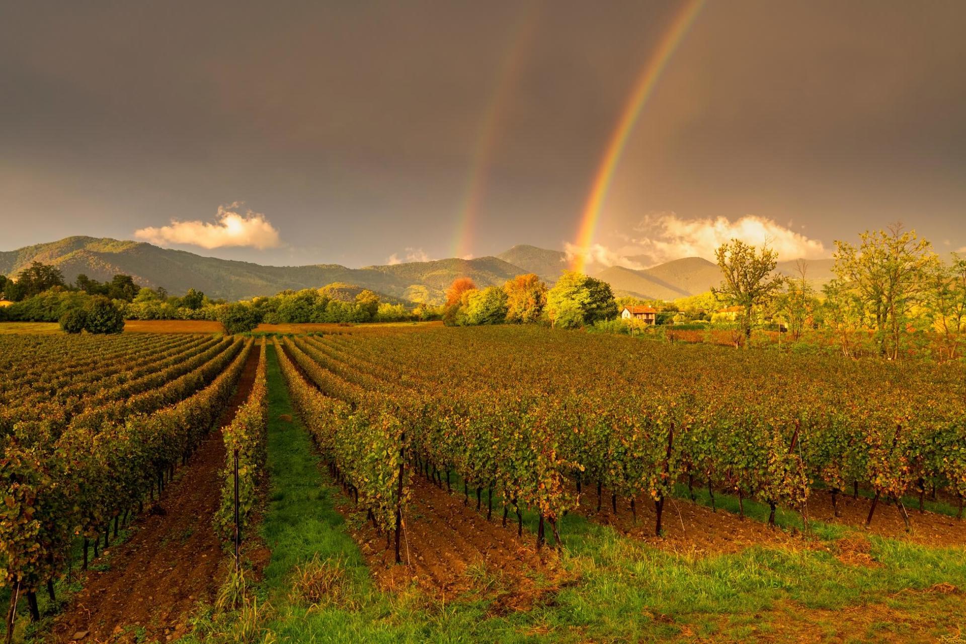 Franciacorta DOCG Brut