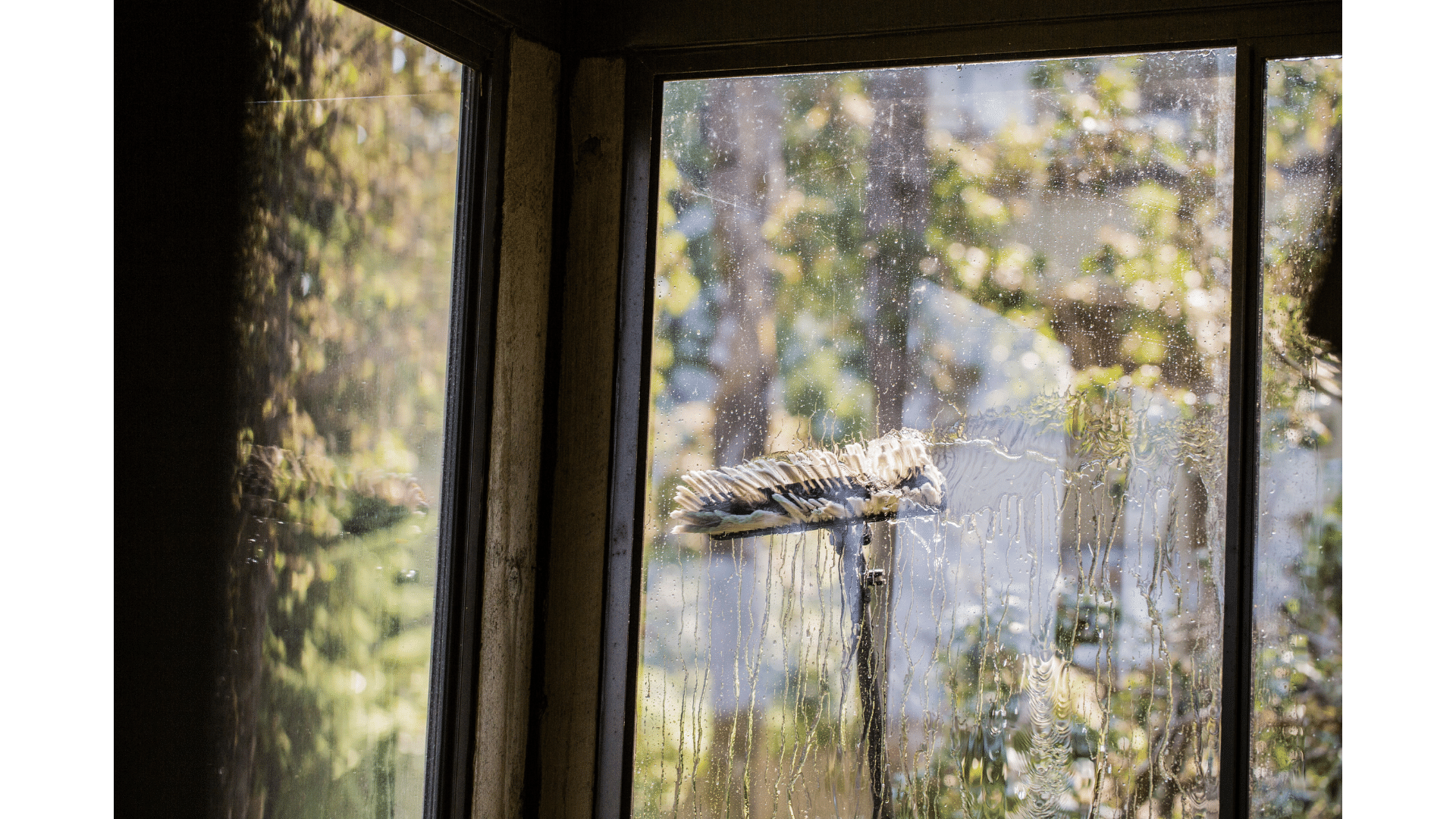 Window Pressure Washing service Columbia, SC