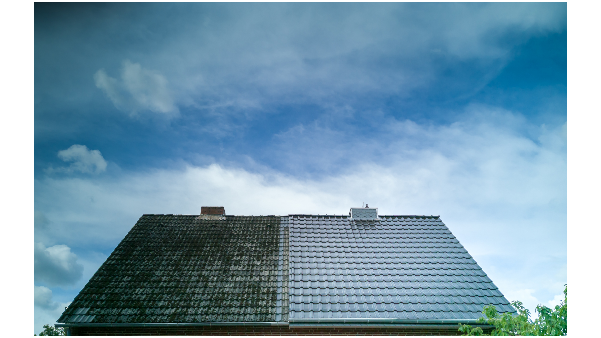 Gutter cleaning services near Columbia SC