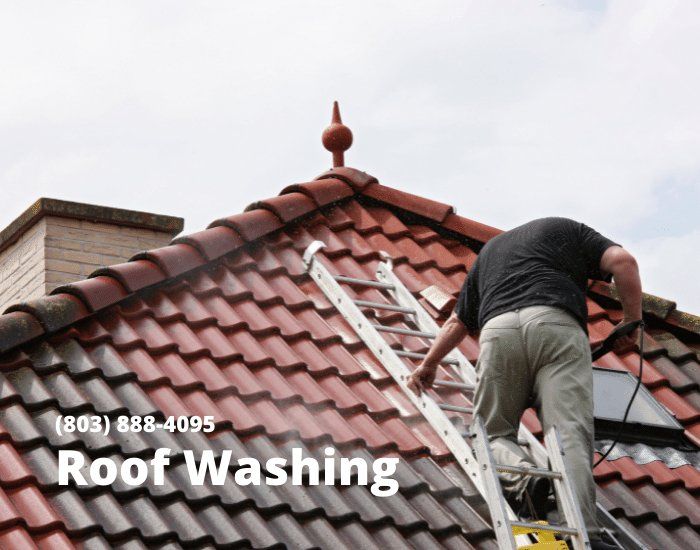 Roof washing services Columbia sC
